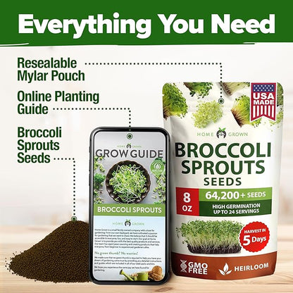 HOME GROWN Broccoli Seeds 8 oz - for Sprouting or Microgreens High Germination Sprout Seeds Nutritious Micro Greens - Broccoli Sprouts in 5 Days - Sulforaphane Rich