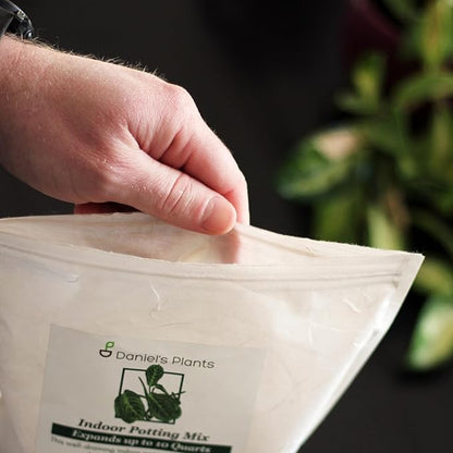 Daniel’s Plants Indoor Potting Soil – Enriched with Kelp, Worm Castings & Microorganisms for Healthy Growth, Aeration & Moisture Control (10-Quart)