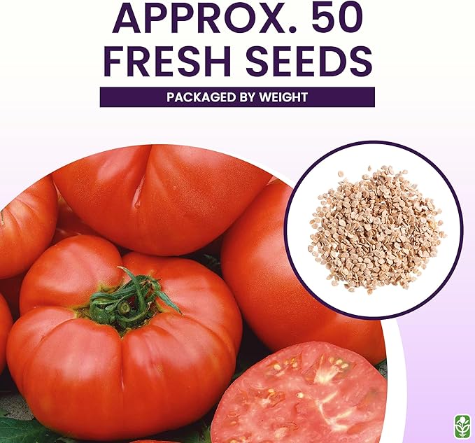 Pink Ponderosa Heirloom Tomato Seeds - Large Tomato - One of the Most Delicious Tomatoes for Home Growing, Non GMO - Neonicotinoid-Free.