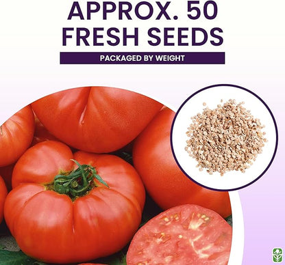 Pink Ponderosa Heirloom Tomato Seeds - Large Tomato - One of the Most Delicious Tomatoes for Home Growing, Non GMO - Neonicotinoid-Free.
