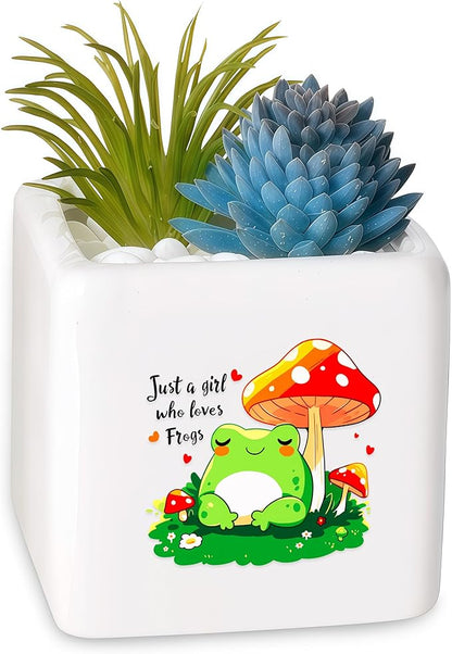 Frog Succulent Planter Flower Plant Pot Small, Gifts for Women Teens Girls Kids, Frog Lovers Themed Stuff Accessories Things Decor Merch, Home Office Table Desk Decoration!
