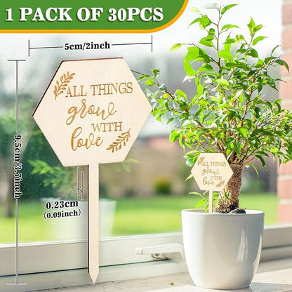 AnyDesign 30Pcs All Things Grow with Love Labels Succulent Tags Hexagon Wooden Plant Stakes Labels Garden Marker Plant Sign for Seed Potted Teacher Appreciation Gift Thanksgiving Baby Shower
