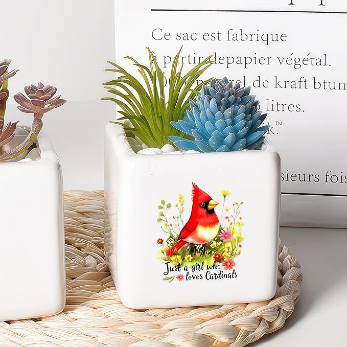 Cardinal Succulent Planter Flower Plant Pot Small, Gifts for Women Teens Girls Kids, Cardinal Lovers Themed Stuff Accessories Things Decor Merch, Home Office Table Desk Decoration!