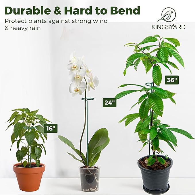 Kingsyard 16 Inch Plant Support Stake - 20 Pack, 4.5mm Thick All Metal Garden Plant Support Stakes for Outdoor Plants Single Stem Flowers Dahlia Lily Rose Peony Hydrangea Tomatoes Sunflower Gladiolus