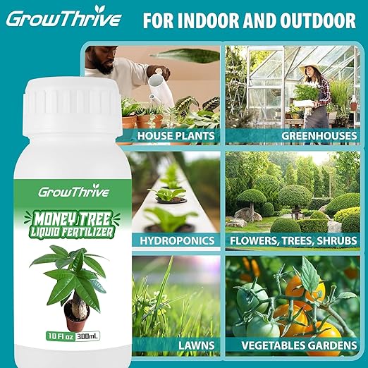 Money Tree Fertilizer for Money Trees and All Pachira Plants,Microbial Organic Liquid Plant Food for Houseplants’ Healthy Growth & Glossy Leaves 10 oz (300mL)