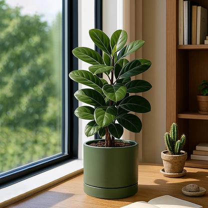 Phoenix Vine 8 Inch Planter Pot with Drainage Hole & Saucer, Deep Water Catch Tray, Straight Cylindrical Round Pot for Plants, Olive, Pack of 1, 23-F-T-1