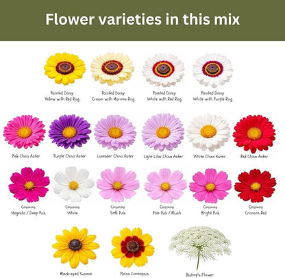 Cut Flower Garden Seed Mix – 15,000+ Seeds – 1 oz Extra Large Packet – Non-GMO Flower Seeds – Zinnia, Cosmos, Larkspur, Calendula, Bishop’s Flower & More for Bouquets & Cutting Gardens