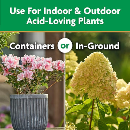 Miracle-Gro Water Soluble Azalea, Camellia, Rhododendron Plant Food - Fertilizer for Acid-Loving Plants & Flowers, 5 lb.