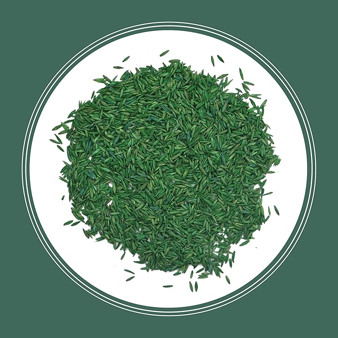 Pennington 100% Kentucky 31 Tall Fescue Penkoted Grass Seed 40 lbs