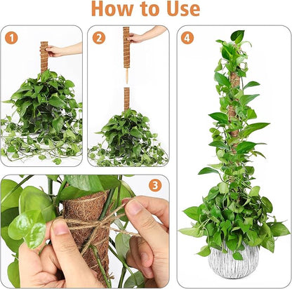 JJGoo Moss Pole for Plants Monstera,【6 Pack】 17 inch Plant Support Pole, Extendable Coir Totem Pole for Potted Plants Pothos, Train Indoor Climbing Plants to Grow Upwards