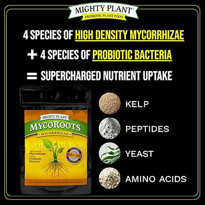Organic Root Enhancer Ultra-Concentrated Mycorrhizal Fungi MycoRoots – 500 Spores/Gram for Optimal Plant Growth & Health | Boost Soil Nutrient Absorption (5, Ounces)