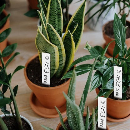 100Pcs 4 Inch Plant Labels,Plastic Waterproof Nursery Stake Tags for Potted Plants (White) (SZ-BC210YB)
