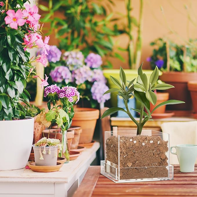 Clear Plant Nursery Pots Acrylic Orchid Pots with Drainage Holes and Tray Transparent Planter for Indoor Plants, Succulents, Herb, Flowers and Cactus Decorative(8 Inches,Square)