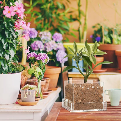 Clear Plant Nursery Pots Acrylic Orchid Pots with Drainage Holes and Tray Transparent Planter for Indoor Plants, Succulents, Herb, Flowers and Cactus Decorative(8 Inches,Square)