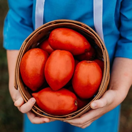 Amish Paste Tomato - 50 Seeds - Heirloom Amish Tomato Variety, Super for Sauce & Canning, USA-Grown, Non-GMO Heirloom Tomato Seeds for Planting Outdoors in The Home Garden, Thresh Seed Company