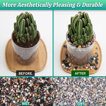 AVALUTION Aquarium Gravel for Plants -2.4lb Fish Tank Gravel for Succulent Cactus & Bonsai, 1/4Inch Decorative River Rocks Pebbles for Gardening, Flower Pots, Landscaping, Terrarium