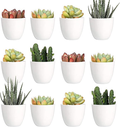 Youngever 24 Pack 2 Inch Mini Plastic Planters, Indoor Flower Plant Pots, White Gardening Pot with Drainage - NO Plant Included (Modern)