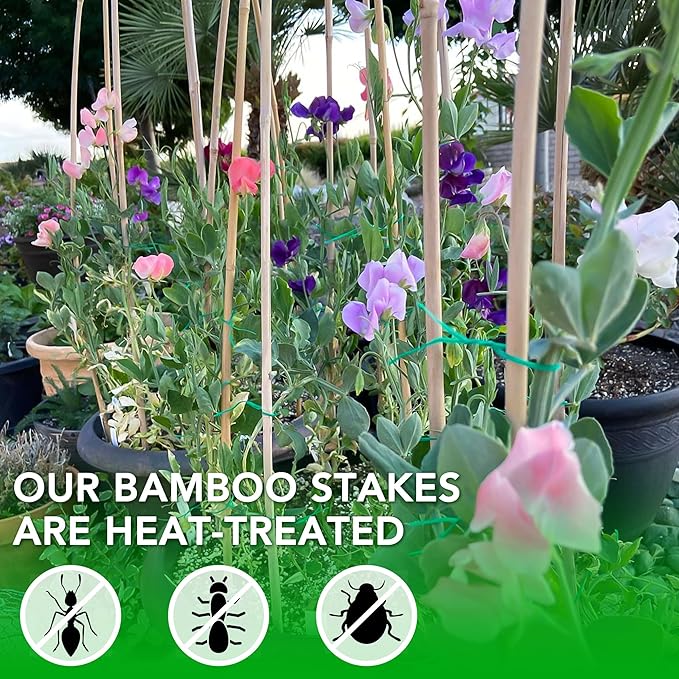 SWANGSA 40 Pack Bamboo Stakes for Plant 6 Feet,Bamboo Sticks Garden Plant Support Stakes Poles with 200pcs Twist Ties for Tomatoes, Beans, Flowers, Trees, Indoor and Outdoor Climbing Plants