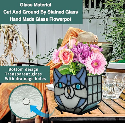 Indoor Plant Display Glass Container, Unique Pots for Plants, Glass Container Decoration,Suitable for Growing Small Plant 4.6x5.15x3 in（Excluding Plants）