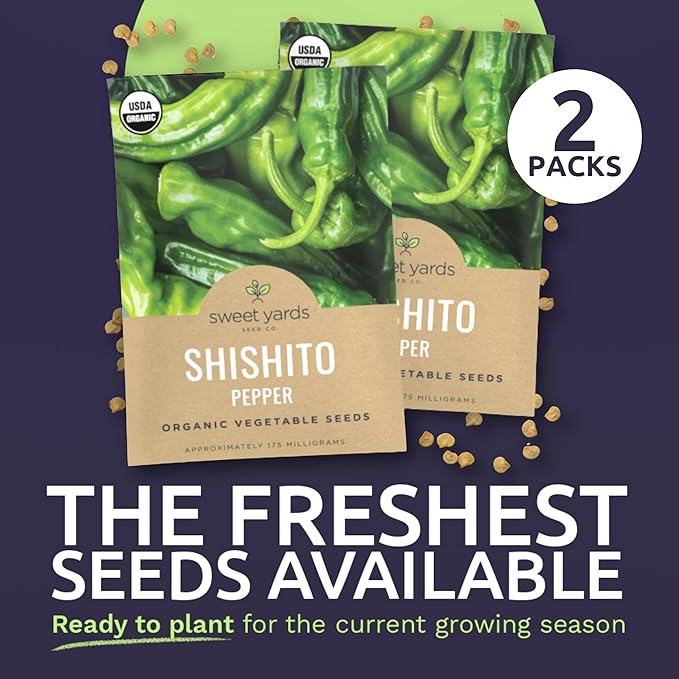 Organic Shishito Pepper Seeds – Two Seed Packets! – Approx 30 Open Pollinated Non-GMO Seeds Per Packet (60 Total) – Sweet Yards Seed Co.