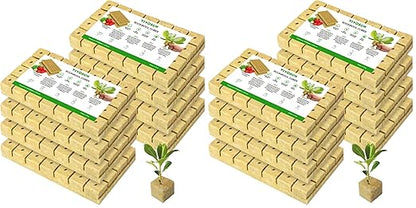 VIVOSUN 1.6 Inch Rockwool Cubes, Grow Cubes for Hydroponics, Cuttings, Cloning, Plant Propagation, Seed Startling, 8 Sheets 224 Plugs (Pack of 2)