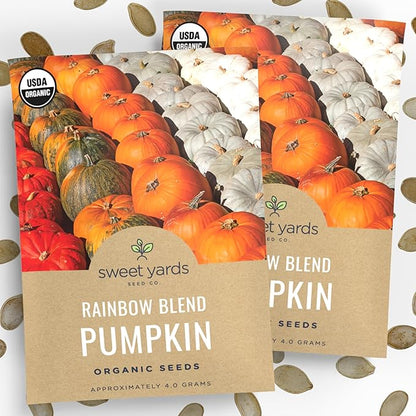 Organic Rainbow Blend Pumpkin Seeds – Two Seed Packets! Over 15 Open Pollinated Non-GMO Seeds – Sweet Yards Seed Co.