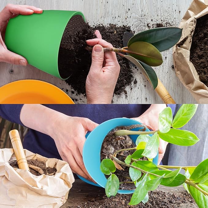 Yinder 32 Pcs 6 Inch Nursery Pots Flower Pots Colorful Plastic Plant Pot Seed Starting with Saucers and Drainage Holes Plant Container for Herbs Houseplants Seeding Nursery Flowers