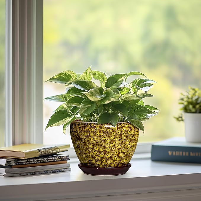 6 Inch Ceramic Plant Pots - Ceramic Pots for Plants Indoor Outdoor, Decorative Round Planter with Drainage Hole and Tray, Small Flower Pot, Bedroom Decor, Plant Lover Gifts, Yellow Leopard