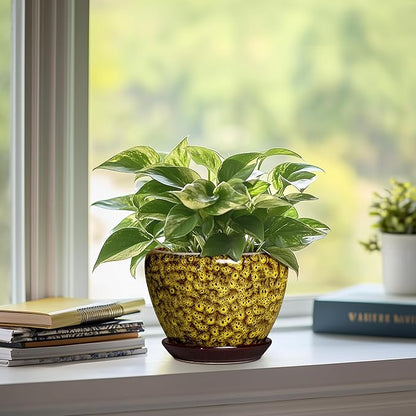 6 Inch Ceramic Plant Pots - Ceramic Pots for Plants Indoor Outdoor, Decorative Round Planter with Drainage Hole and Tray, Small Flower Pot, Bedroom Decor, Plant Lover Gifts, Yellow Leopard