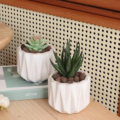 Plant Pot 4 Inch Ceramic Pots, Set of 2 Flower Pots Crackle Glaze Small Planters Pots with Drainage Hole and Mesh Pads for Indoor Outdoor Garden Pots Succulent, Cactus, Herbs (White)