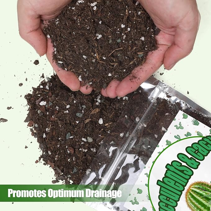 Cactus & Succulent Soil Mix 2qt, Chunky Well-Draining Soil for Indoor Plants - Spike & Bloom
