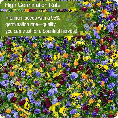 160000+ Wildflower Seeds Planting - 4oz Varieties Including Sunflower, Lavender, Zinnia & More, Attracts Bees & Butterflies, High Germination Rate, Easy to Grow for Garden, Balcony