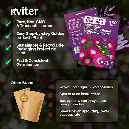 KVITER 150 Scarlett O'Hara Morning Glory Seeds for Planting (Ipomoea Nil) – Red Morning Glory Vine Seed Packets – Non GMO Heirloom Flower Seeds to Plant Outside Home Garden, Containers, Trellises