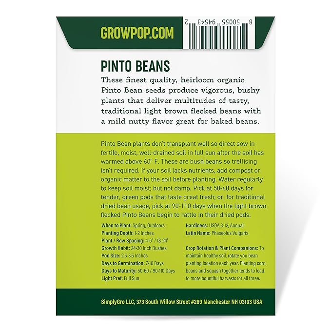 Purely Organic Pinto Bean Seeds - USDA Organic, Non-GMO, Open Pollinated, Heirloom, USA Origin (1 Packet - 20 Grams - Approx 36 Seeds)