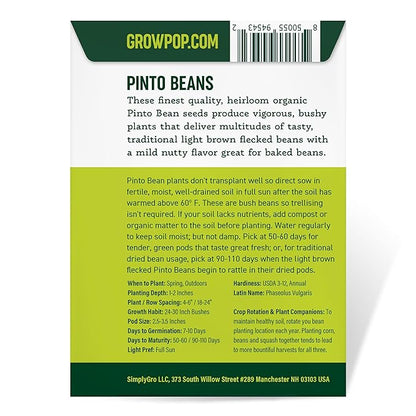 Purely Organic Pinto Bean Seeds - USDA Organic, Non-GMO, Open Pollinated, Heirloom, USA Origin (1 Packet - 20 Grams - Approx 36 Seeds)