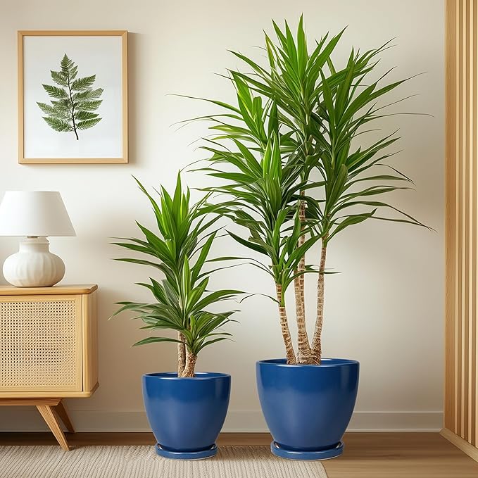 Ceramic Planters Set of 3 - Round Modren 10 Inch 8 Inch 6 Inch Plant Pots with Drainage Holes and Saucers, Flower Pots for Indoor Outdoor, Home Apartment Decor, Plant Lover Gifts, Blue
