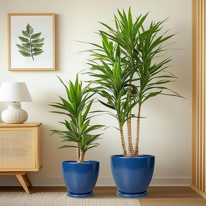 Ceramic Planters Set of 3 - Round Modren 10 Inch 8 Inch 6 Inch Plant Pots with Drainage Holes and Saucers, Flower Pots for Indoor Outdoor, Home Apartment Decor, Plant Lover Gifts, Blue