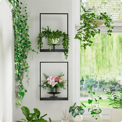 Black Metal Wall Plant Holder - 2-Pack Wall Mounted Plant Stands and Hanging Holders for Indoor Planter and Flower Pot -Rectangle Decor Shelf for Plant Storage (Pot Not Included)