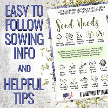 Seed Needs Cornflower Seeds for Planting Dwarf Blue Bachelor's Button Wildflowers - Heirloom & Open Pollinated Flowers to Plant and Grow an Outdoor Home Grown Butterfly Garden (2 Packs)