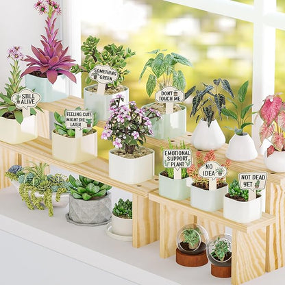 15Pcs Wooden Plant Signs, Funny Garden Plant Markers, Cute Patterns Interesting Words Labels with Stake for Indoor Outdoor Patio Decorative Plants Stakes Garden Tags