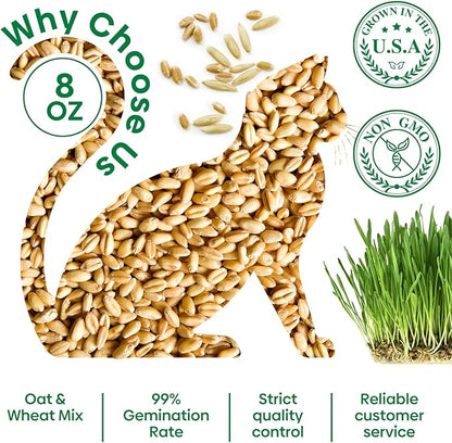 Cat Grass Seeds 8oz, Non-GMO Wheat Cat Grass Seeeds & Oat Seeds Mix, High Germination Cat Grass Seeds Grown in USA for Indoor Cats