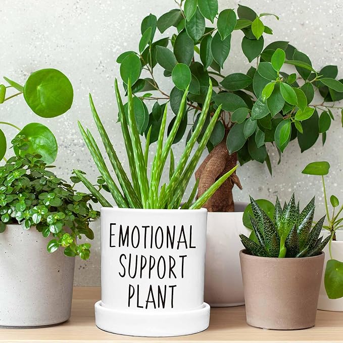 4.3 inch Ceramic Emotional Support Plant Pot, Funny Succulent Pots, Cute Cactus Planters with Drainage Hole, Funny Plant Pot Emotional Support Cactus