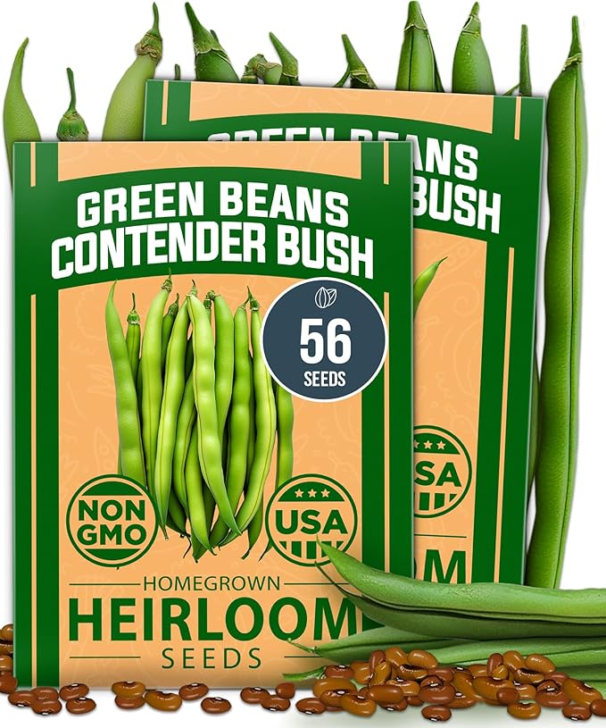 HOME GROWN Non GMO Contender Bush Bean Pack - 56 Heirloom Green Beans, Vegetable Seeds for Planting, Emergency Food Supply (Phaseolus vulgaris)
