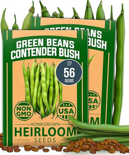 HOME GROWN Non GMO Contender Bush Bean Pack - 56 Heirloom Green Beans, Vegetable Seeds for Planting, Emergency Food Supply (Phaseolus vulgaris)