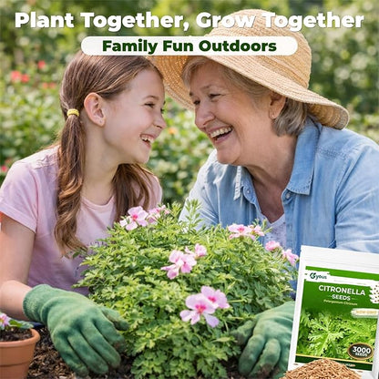 Citronella Seeds (3,000+ Seeds) – Easy-Grow Herb Plant for Pots & Garden Beds, Fresh Aromatic Leaves for Outdoor Patio Planters