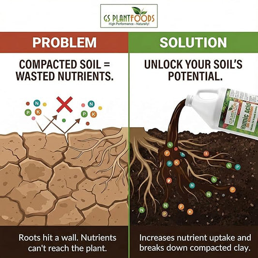 GS Plant Foods Humic Acid Soil Amendment – Leonardite-Derived Liquid Concentrate for Improved Soil Structure & Nutrient Availability – OMRI Listed for Organic Use – 1 Gallon