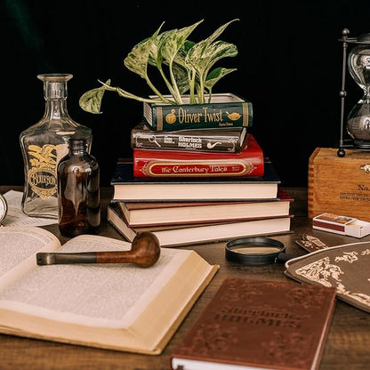 Steel Mill & Co Original Small Book-Shaped Decorative Planter, Ceramic Planter for Cute Home Decor, Unique Bookshelf Planter for Book Lovers (Oliver Twist/Sherlock Holmes/The Canterbury Tales)