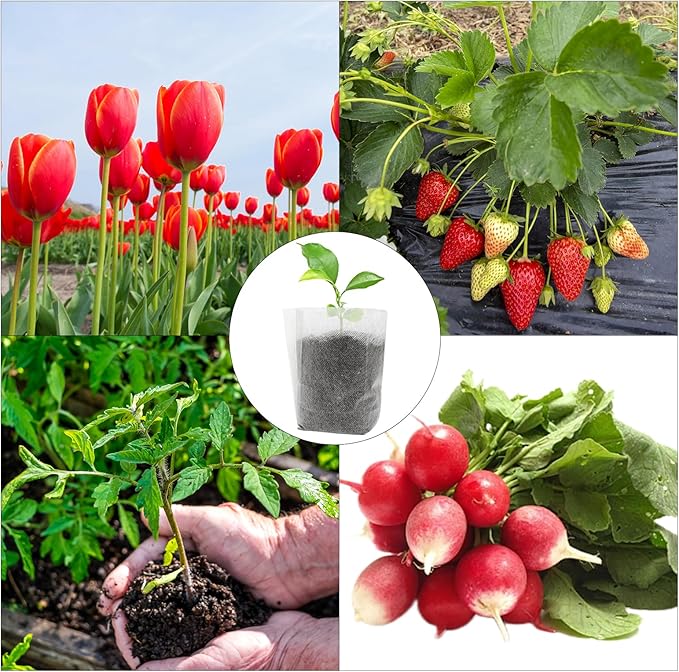 Sucrain 100Pcs 5.5*6 Inch Plant Nursery Bags, Non-woven Seedling Bag Degradable Fabric Nursery Planting Bag for Fruit Vegetable Sapling Garden Flower Seed Culturing&Transplant Supply (100, 5.5*6inch)