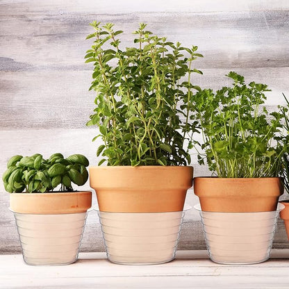 Hoolerry Plastic Plant Saucer Clear Deep Drip Tray Thickened Clear Plant Saucers Trays for Pots Deep Drip Trays for Home Garden Indoor and Outdoor Potted(15 Pcs, 6, 8, 10 Inch)