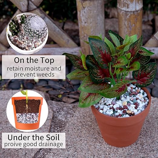 2 Pounds Natural Pea Gravel Pebbles for Plants,1/5 Inch Small Rocks for Succulents and Cactus,Terrarium,Vase,Fish Tank Gravel,Decorative Pebbles for Indoor Plants,Landscape Stones (Mixed)